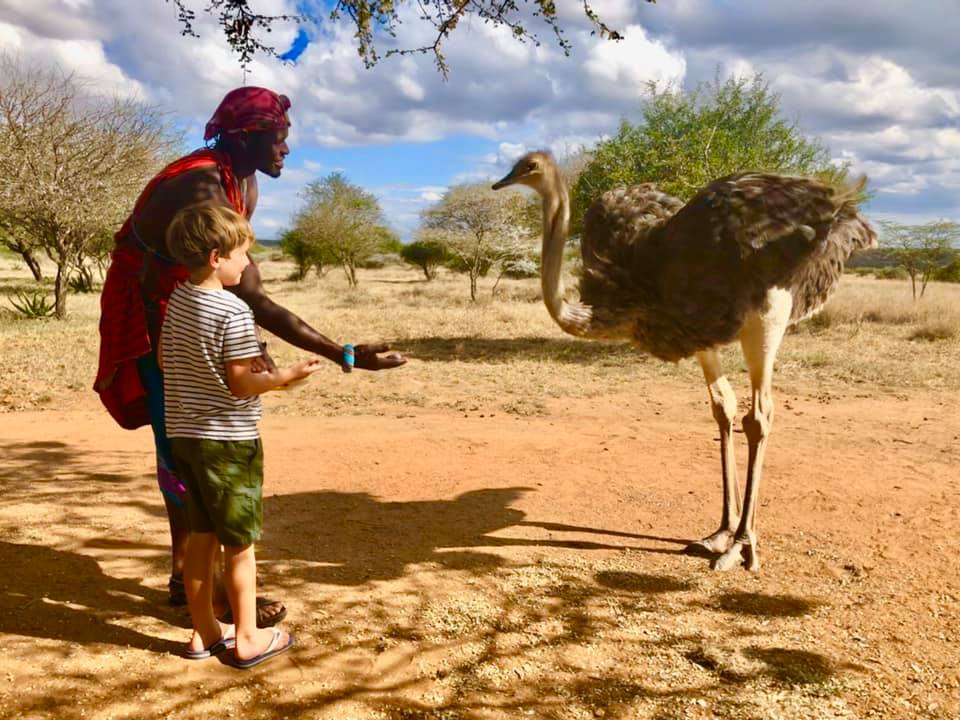 Frank the Ostrich
