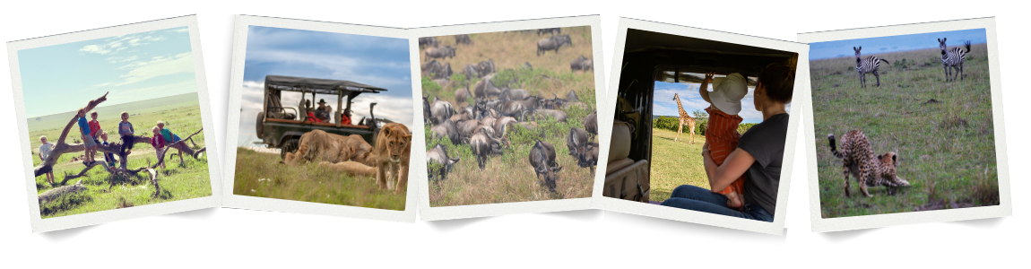 Wildebeest Moving North