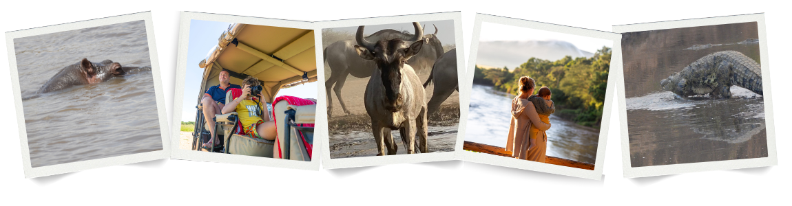 Wildebeest Herd Moving