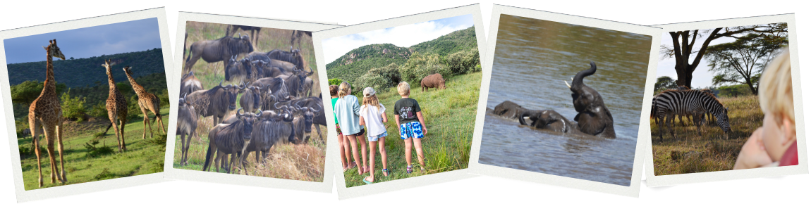 Mara River Crossing