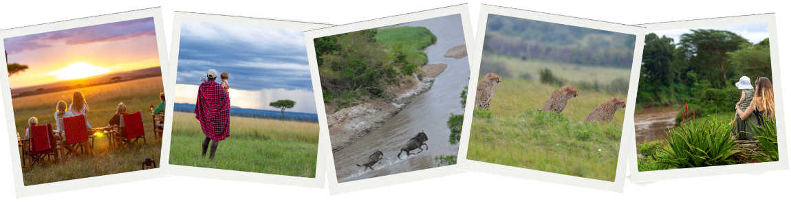 Wildebeest in Mara