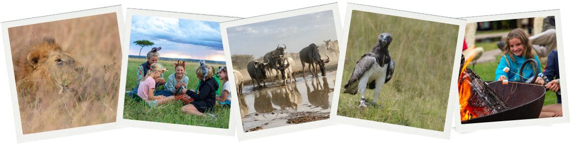 Wildebeest Returning South