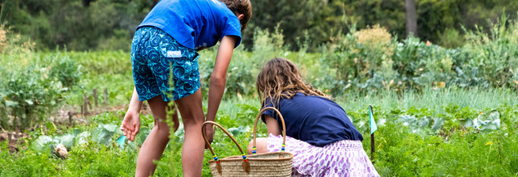 Farm to Fork Closing